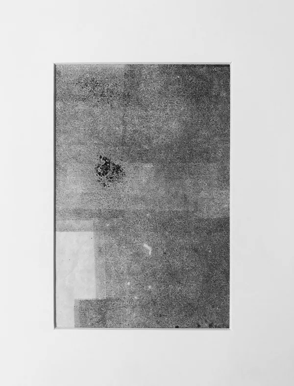 Monographie