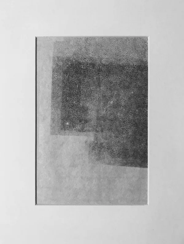 Monographie