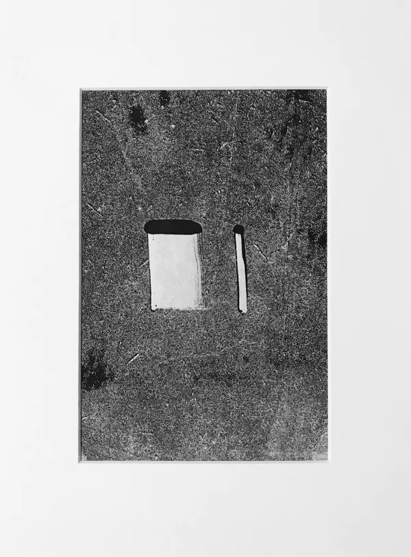 Monographie